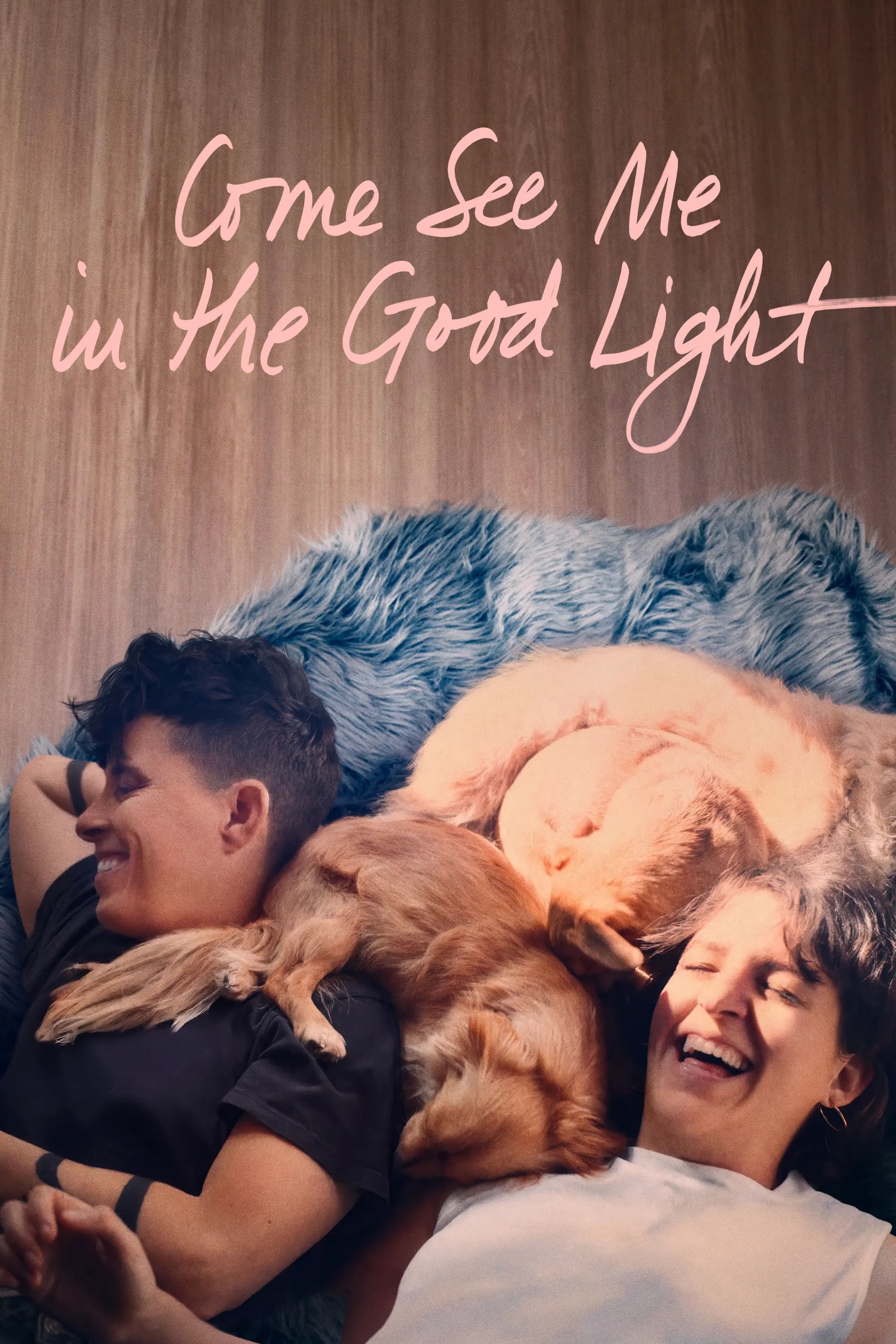 Come See Me in the Good Light poster
