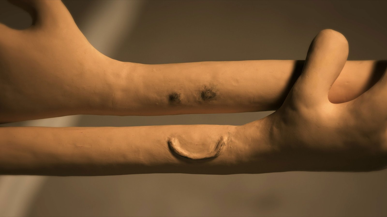 Memoir of a Snail Screenshot