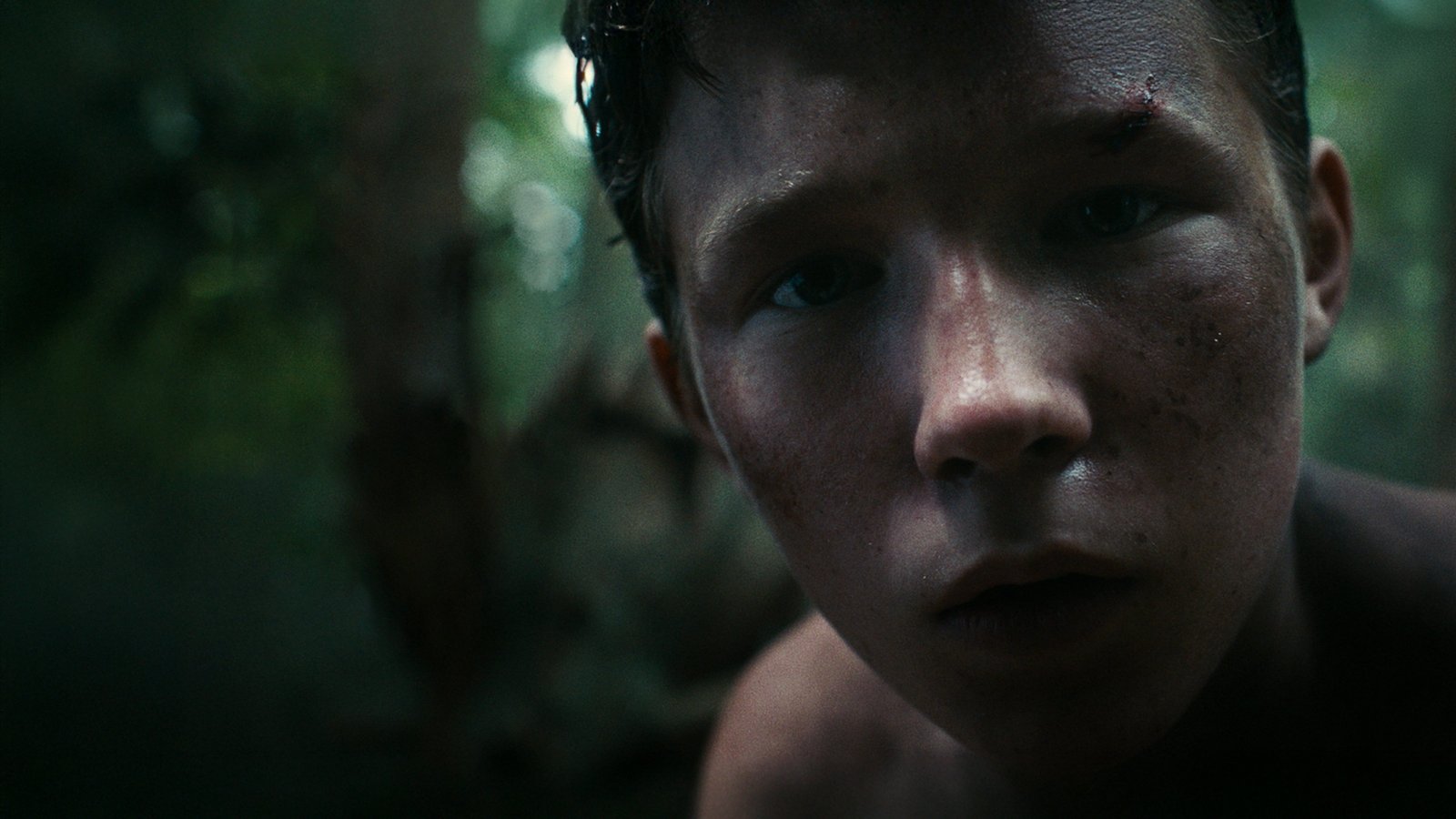 Lost on a Mountain in Maine Screenshot