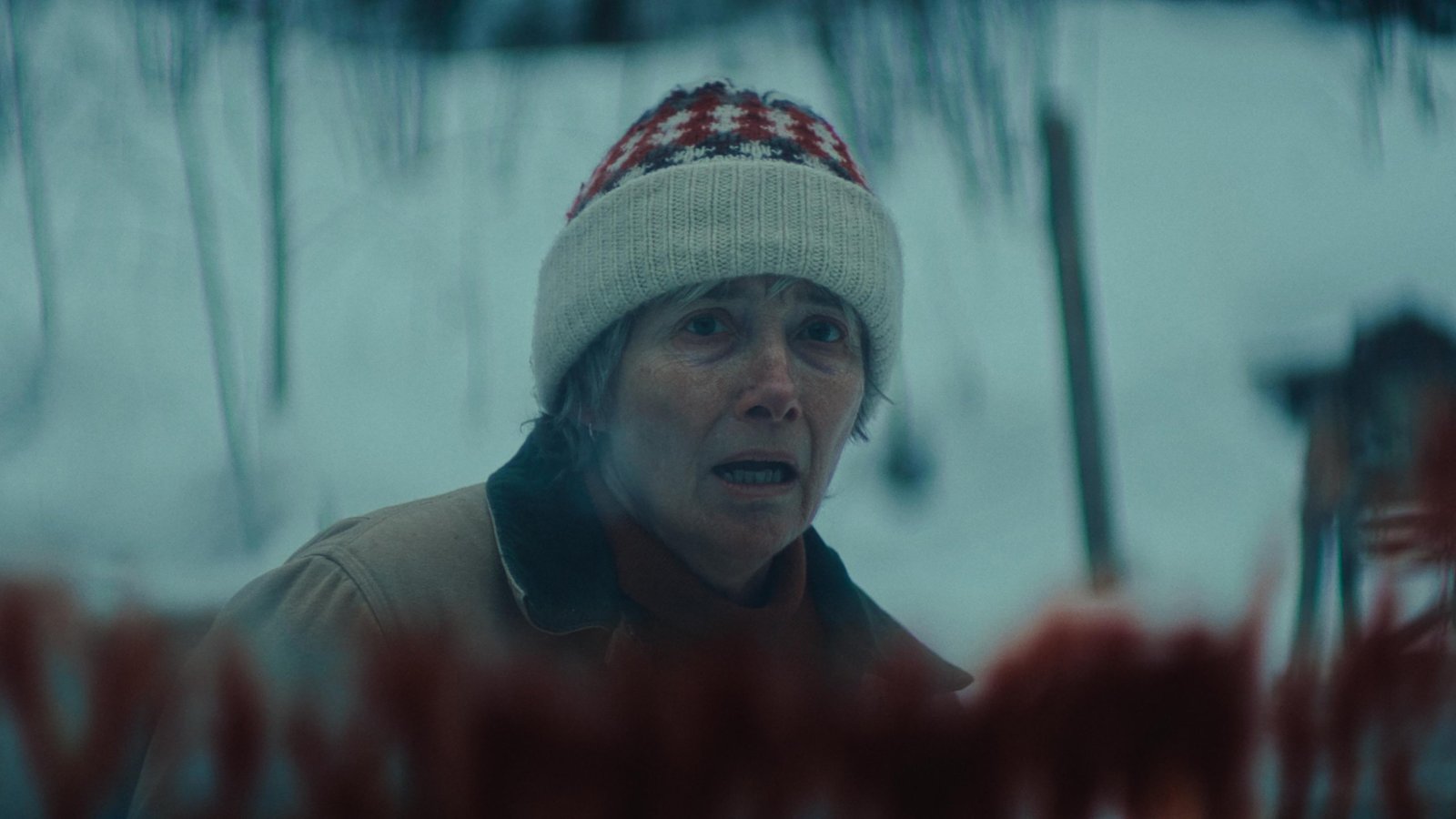 Dead of Winter Screenshot