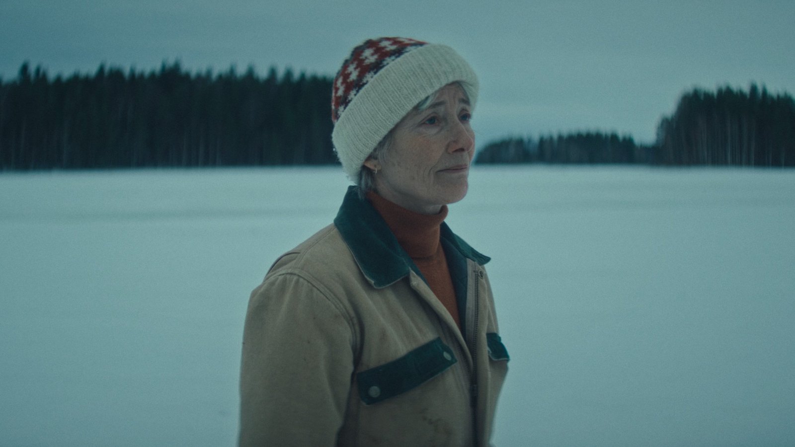 Dead of Winter Screenshot