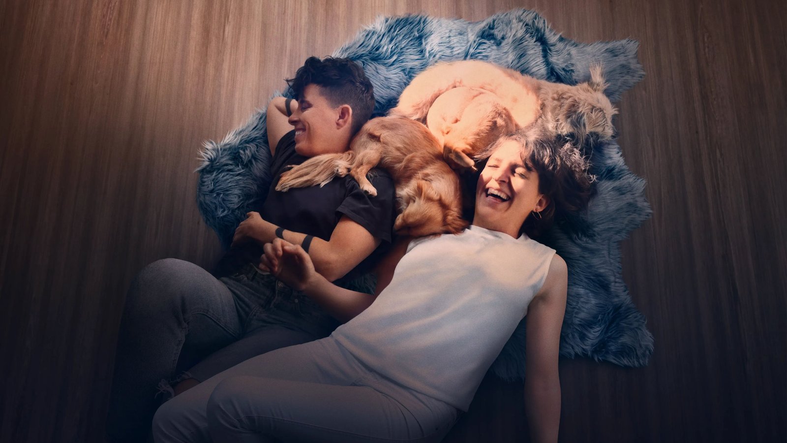 Come See Me in the Good Light Screenshot