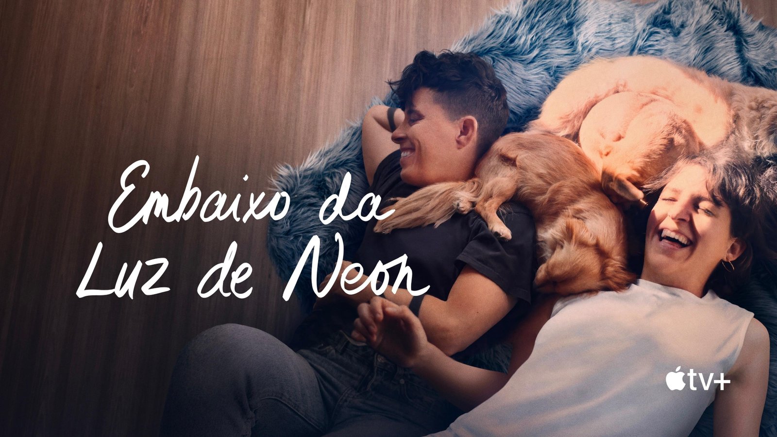 Come See Me in the Good Light Screenshot