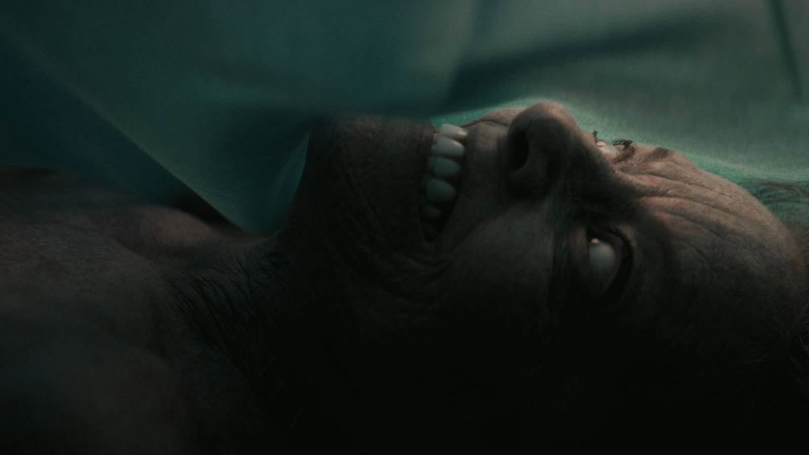 The Mortuary Assistant Screenshot