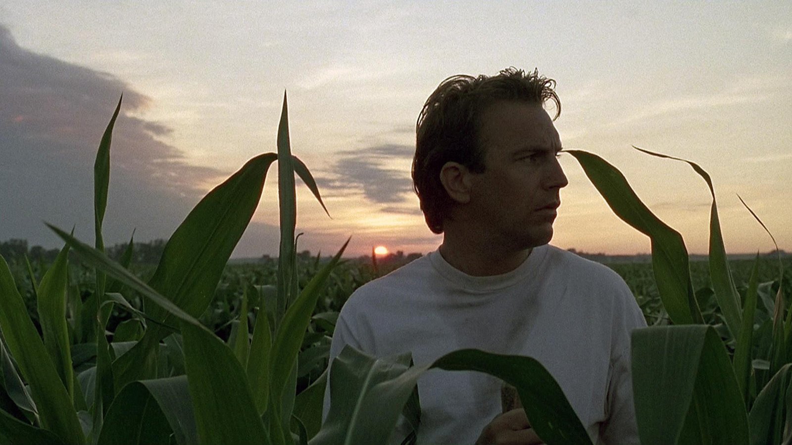 Field of Dreams Screenshot